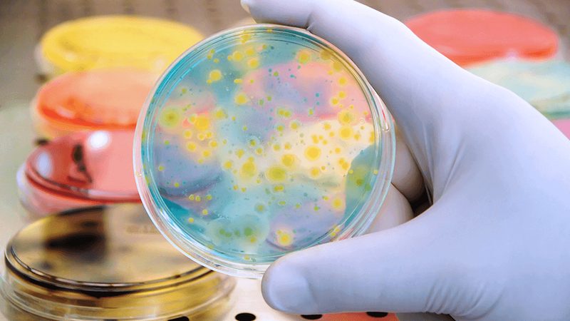 高校生物实验室：如何挑选合适的进口生物试剂？**