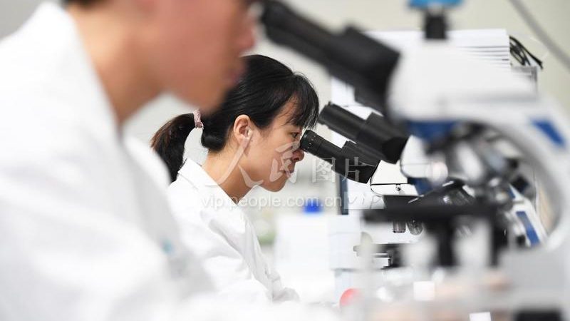 北京生物医药外包项目招标：揭秘项目招标流程与关键要素**