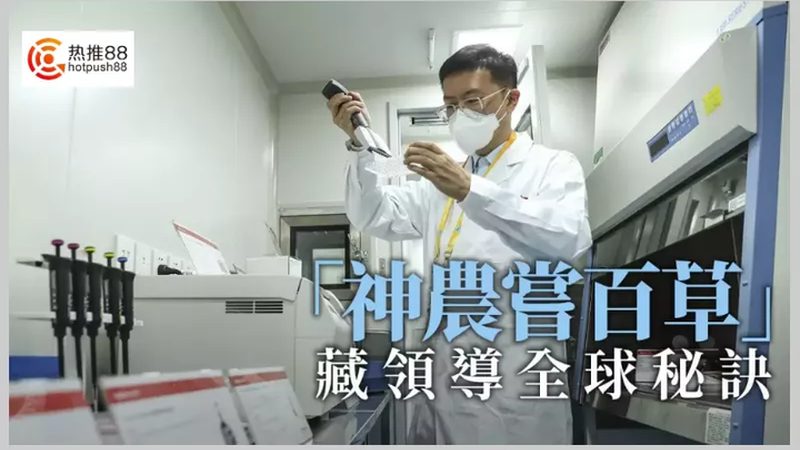 CHO细胞培养基：研发过程中的关键因素**