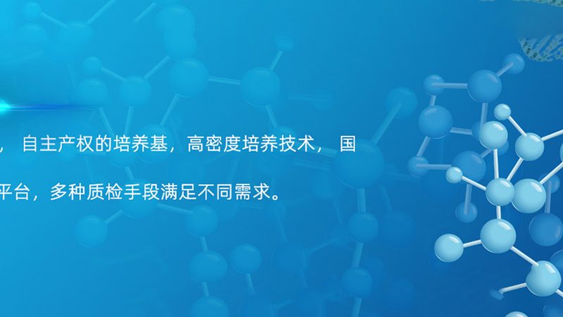 细胞培养：从基础步骤到详细流程解析**