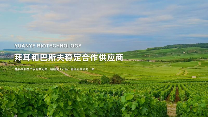苏州生物医药产业园入驻审批，了解这些关键点