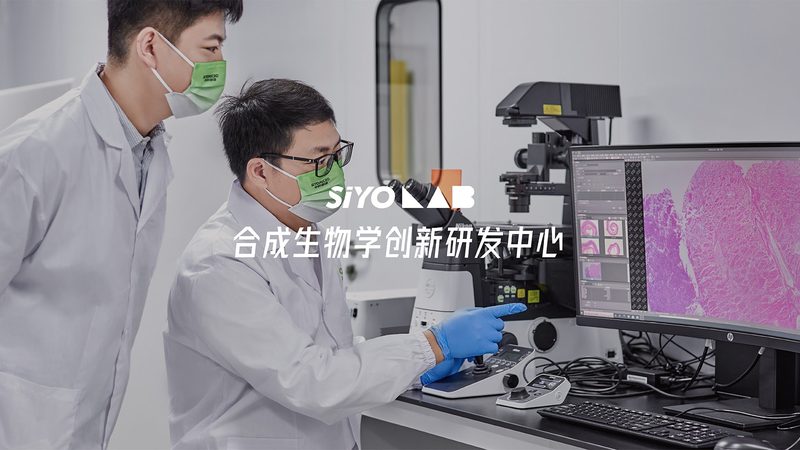 宠物PCR检测：流程步骤全解析