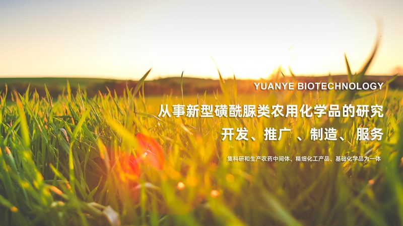 引物合成：揭秘PCR实验中的关键步骤