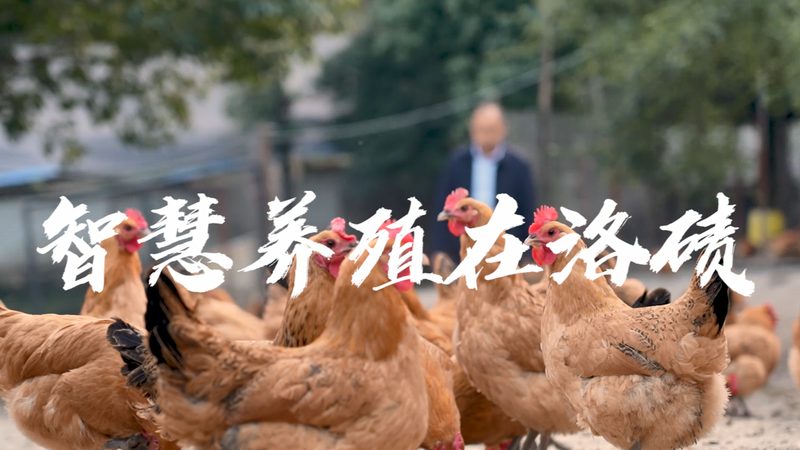 CRO临床试验数据管理：揭秘其核心要素与挑战