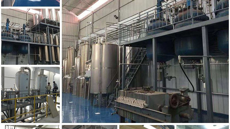 成都引物合成厂家：揭秘PCR技术的核心基石
